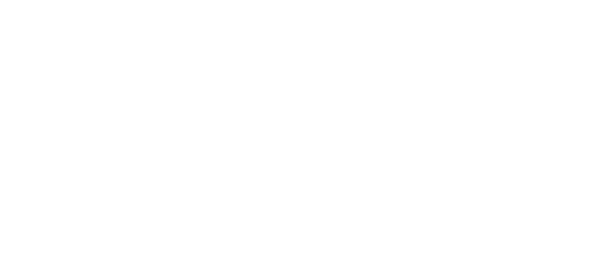 Norman & Gray Ltd dark logo