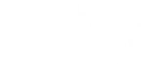 Norman & Gray Ltd dark logo